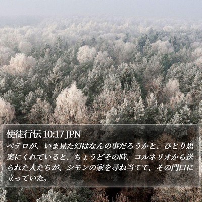 使徒行伝 10:17 JPN Bible Verse Image