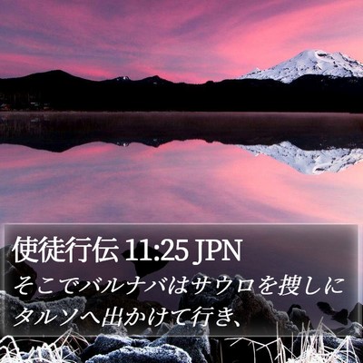 使徒行伝 11:25 JPN Bible Verse Image