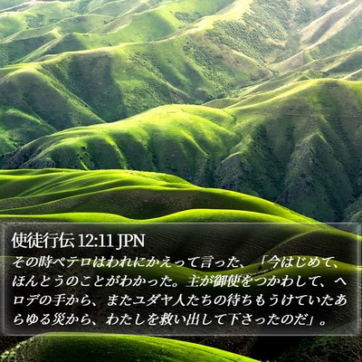使徒行伝 12:11 JPN Bible Verse Image