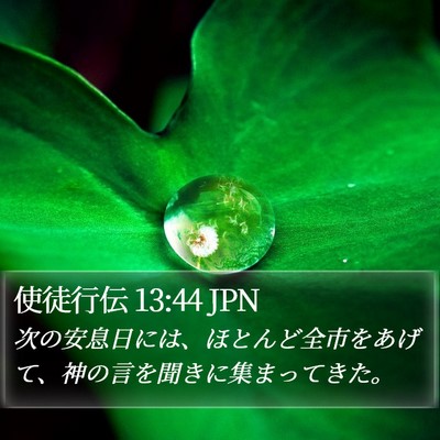 使徒行伝 13:44 JPN Bible Verse Image