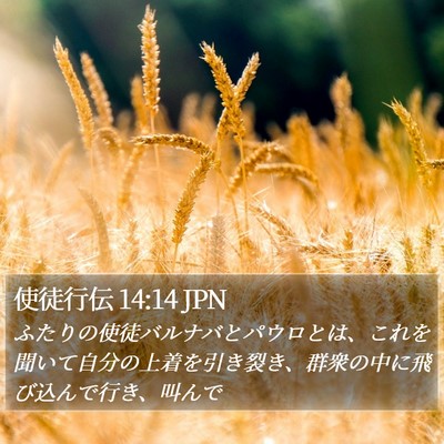 使徒行伝 14:14 JPN Bible Verse Image
