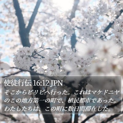 使徒行伝 16:12 JPN Bible Verse Image