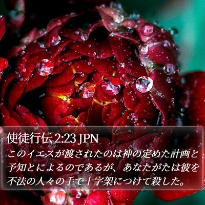 使徒行伝 2:23 JPN Bible Verse Image
