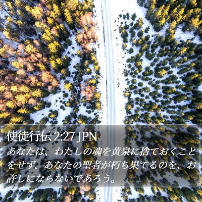使徒行伝 2:27 JPN Bible Verse Image