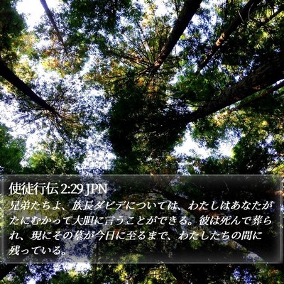 使徒行伝 2:29 JPN Bible Verse Image