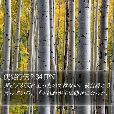 使徒行伝 2:34 JPN Bible Verse Image