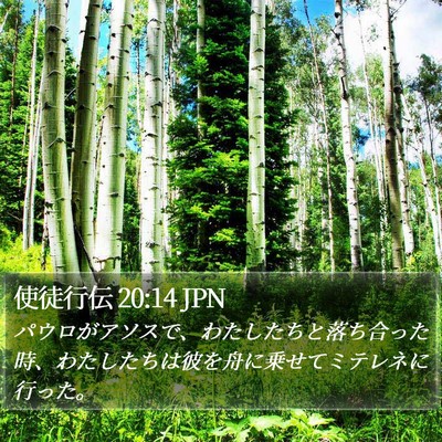 使徒行伝 20:14 JPN Bible Verse Image
