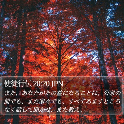 使徒行伝 20:20 JPN Bible Verse Image