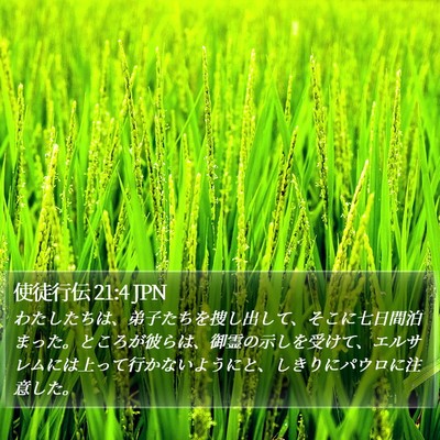 使徒行伝 21:4 JPN Bible Verse Image