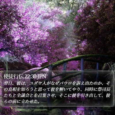 使徒行伝 22:30 JPN Bible Verse Image