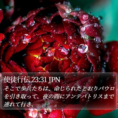 使徒行伝 23:31 JPN Bible Verse Image