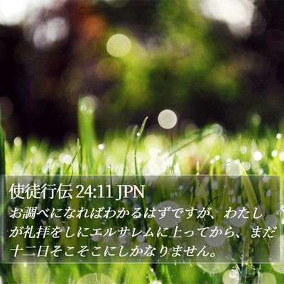 使徒行伝 24:11 JPN Bible Verse Image