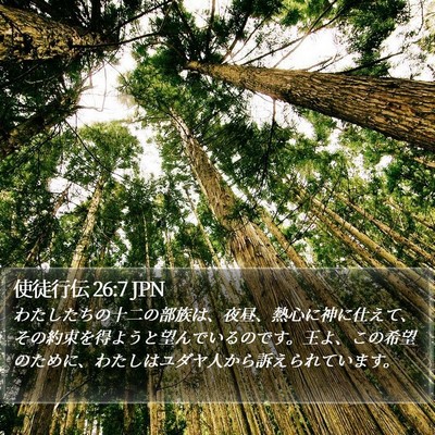 使徒行伝 26:7 JPN Bible Verse Image