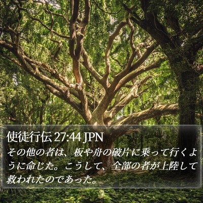 使徒行伝 27:44 JPN Bible Verse Image