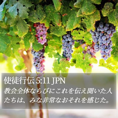 使徒行伝 5:11 JPN Bible Verse Image