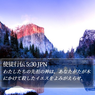 使徒行伝 5:30 JPN Bible Verse Image