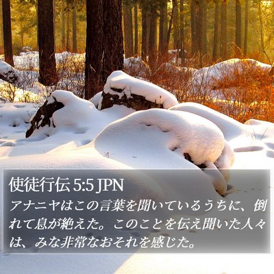使徒行伝 5:5 JPN Bible Verse Image