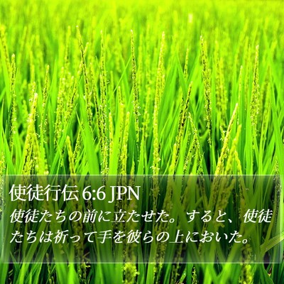 使徒行伝 6:6 JPN Bible Verse Image