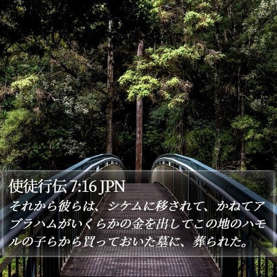 使徒行伝 7:16 JPN Bible Verse Image
