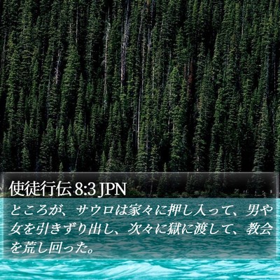 使徒行伝 8:3 JPN Bible Verse Image