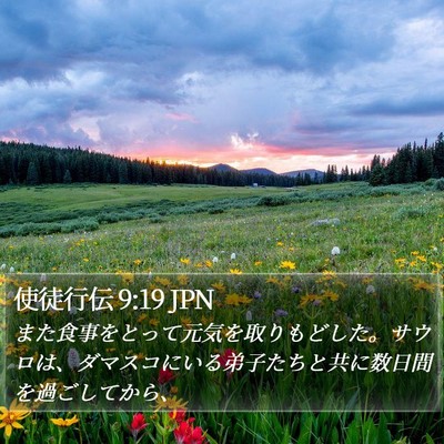 使徒行伝 9:19 JPN Bible Verse Image