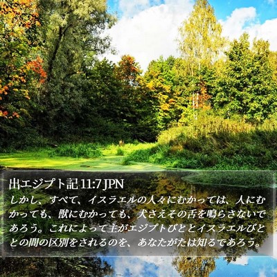 出エジプト記 11:7 JPN Bible Verse Image
