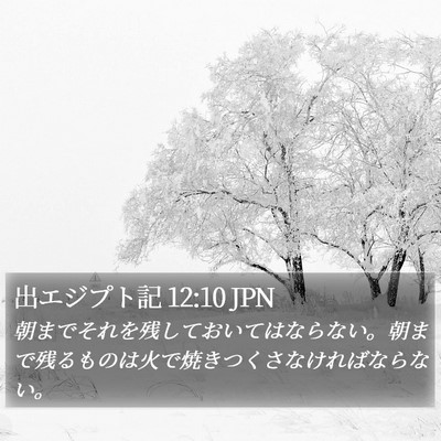 出エジプト記 12:10 JPN Bible Verse Image