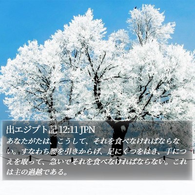 出エジプト記 12:11 JPN Bible Verse Image