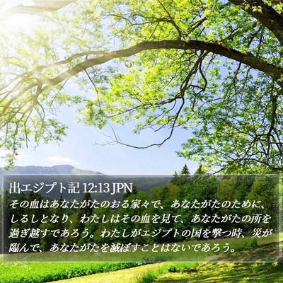 出エジプト記 12:13 JPN Bible Verse Image