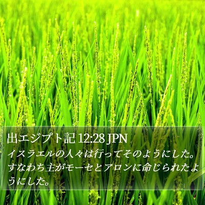 出エジプト記 12:28 JPN Bible Verse Image