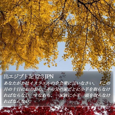 出エジプト記 12:3 JPN Bible Verse Image
