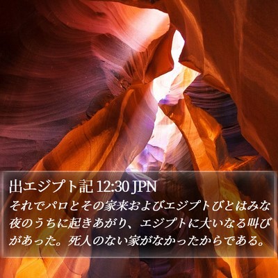 出エジプト記 12:30 JPN Bible Verse Image