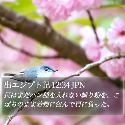 出エジプト記 12:34 JPN Bible Verse Image