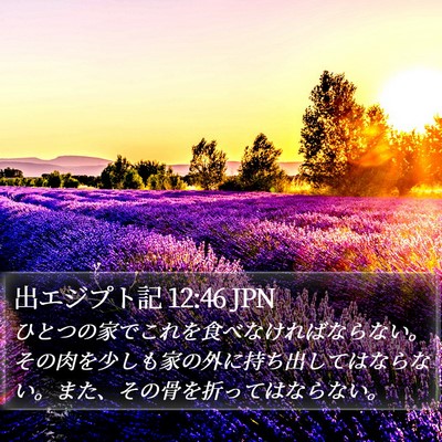 出エジプト記 12:46 JPN Bible Verse Image