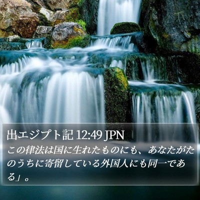 出エジプト記 12:49 JPN Bible Verse Image