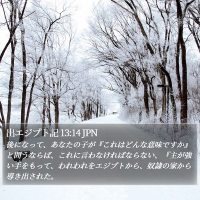 出エジプト記 13:14 JPN Bible Verse Image