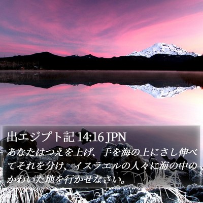 出エジプト記 14:16 JPN Bible Verse Image