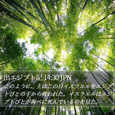 出エジプト記 14:30 JPN Bible Verse Image