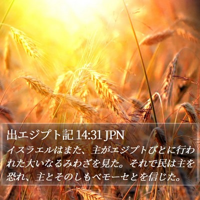 出エジプト記 14:31 JPN Bible Verse Image