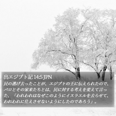 出エジプト記 14:5 JPN Bible Verse Image