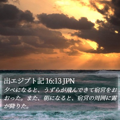 出エジプト記 16:13 JPN Bible Verse Image