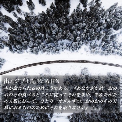 出エジプト記 16:16 JPN Bible Verse Image