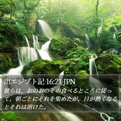 出エジプト記 16:21 JPN Bible Verse Image