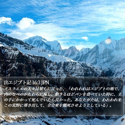 出エジプト記 16:3 JPN Bible Verse Image