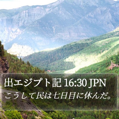 出エジプト記 16:30 JPN Bible Verse Image