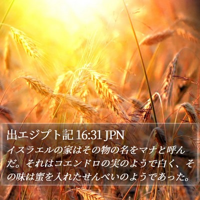 出エジプト記 16:31 JPN Bible Verse Image