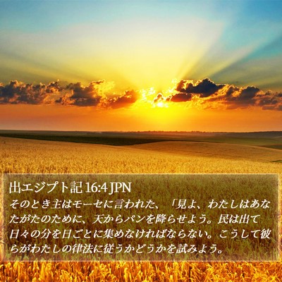 出エジプト記 16:4 JPN Bible Verse Image