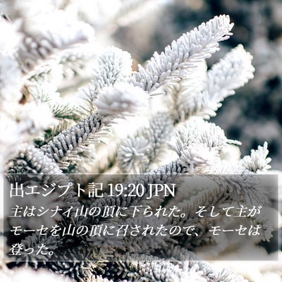 出エジプト記 19:20 JPN Bible Verse Image