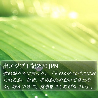 出エジプト記 2:20 JPN Bible Verse Image