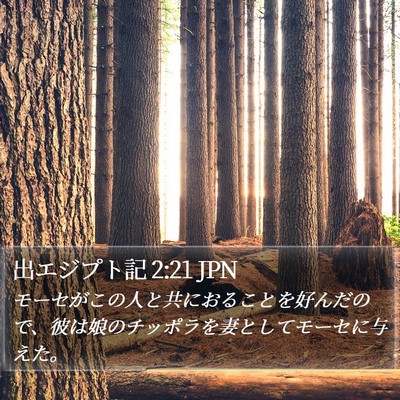 出エジプト記 2:21 JPN Bible Verse Image